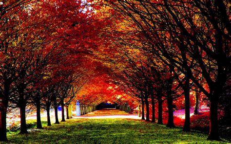 beautiful fall desktop wallpaper|fall widescreen beautiful desktop backgrounds.